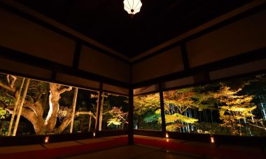 宝泉院ライトアップ「秋の夜灯り京都2017」