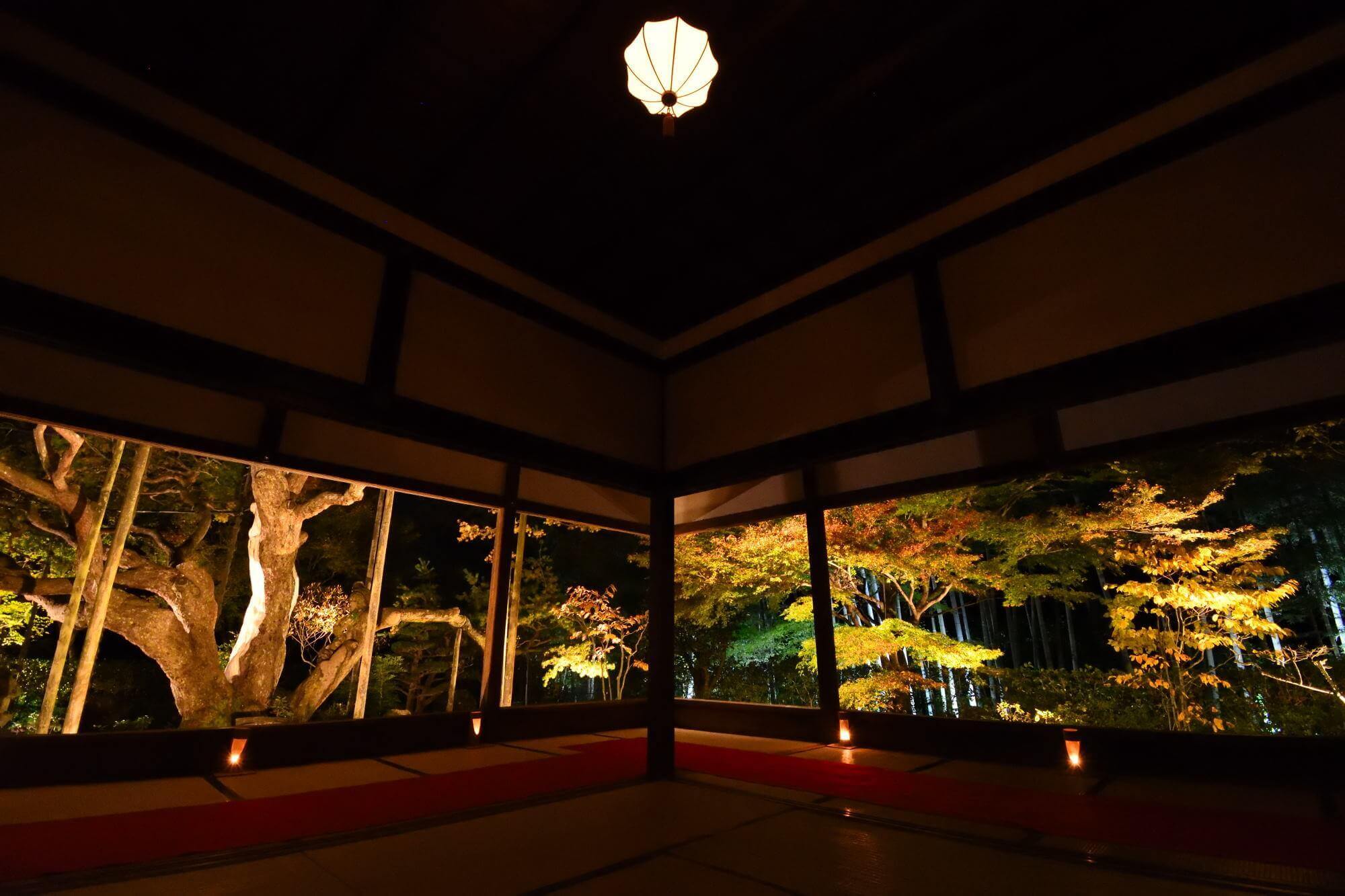 宝泉院ライトアップ「秋の夜灯り京都2017」