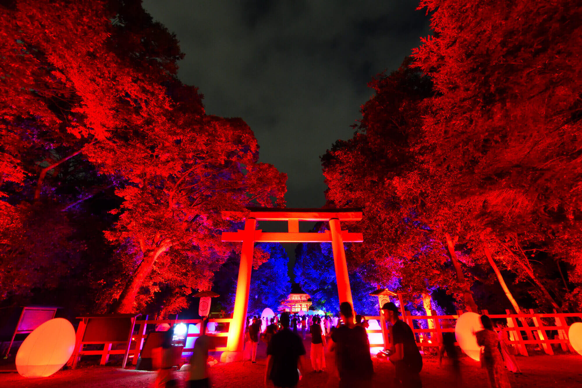 下鴨神社「糺の森の光の祭2018」