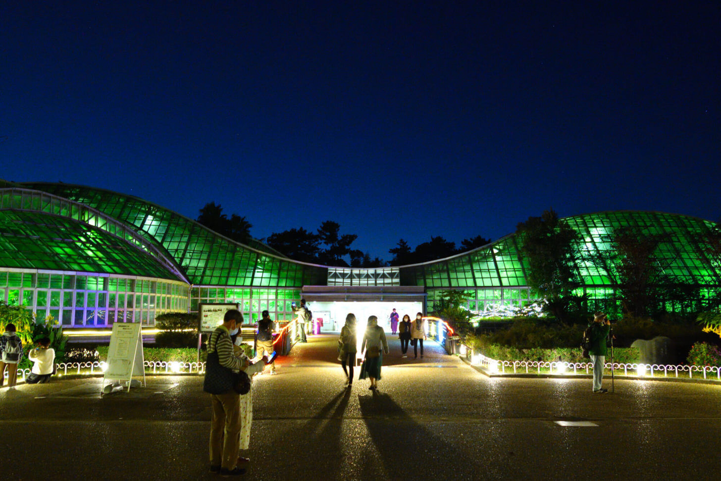 京都府立植物園「世界の紅葉ライトアップ」での観覧温室