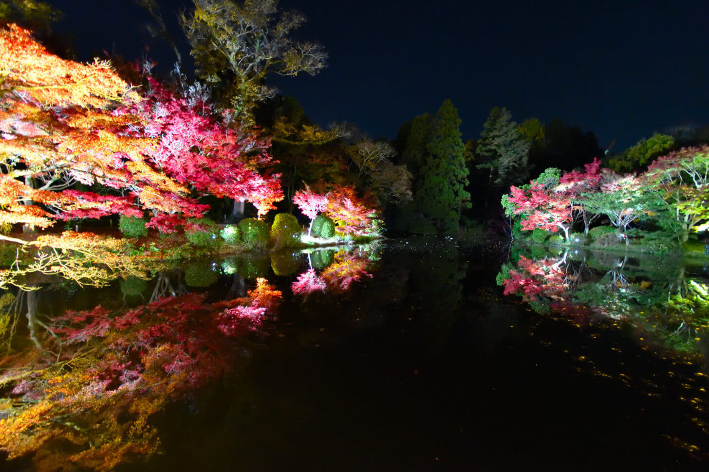 京都府立植物園「世界の紅葉ライトアップ」のリフレクション