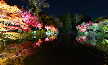 京都府立植物園「世界の紅葉ライトアップ」のリフレクション