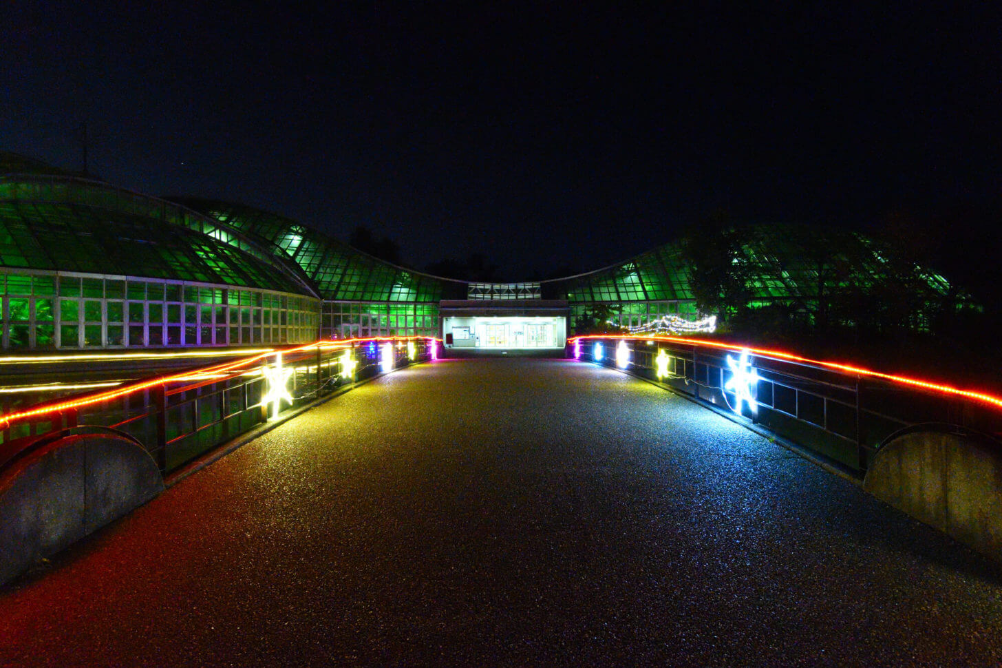 京都府立植物園「世界の紅葉ライトアップ」での観覧温室