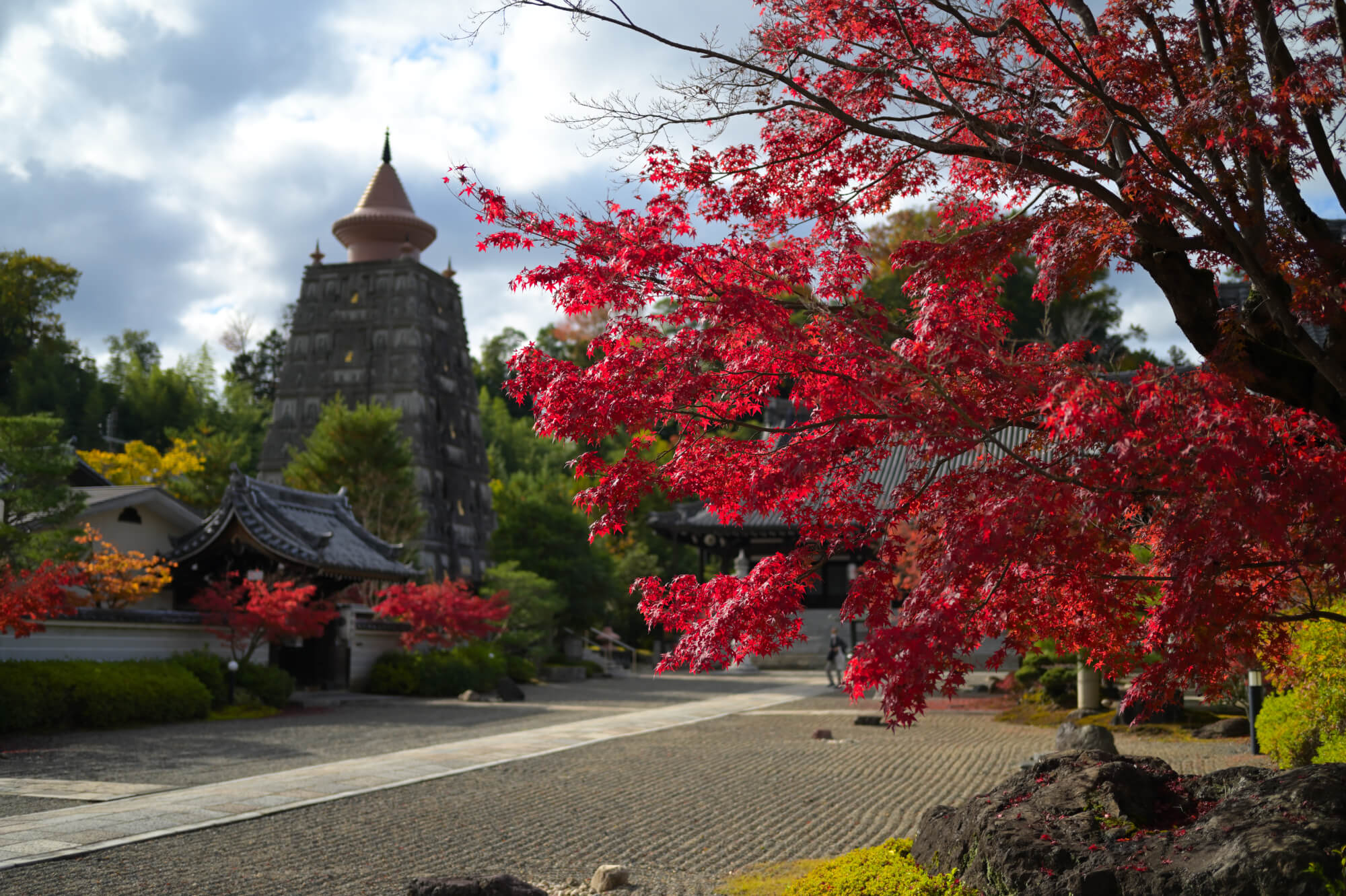 妙満寺 仏舎利大塔と紅葉