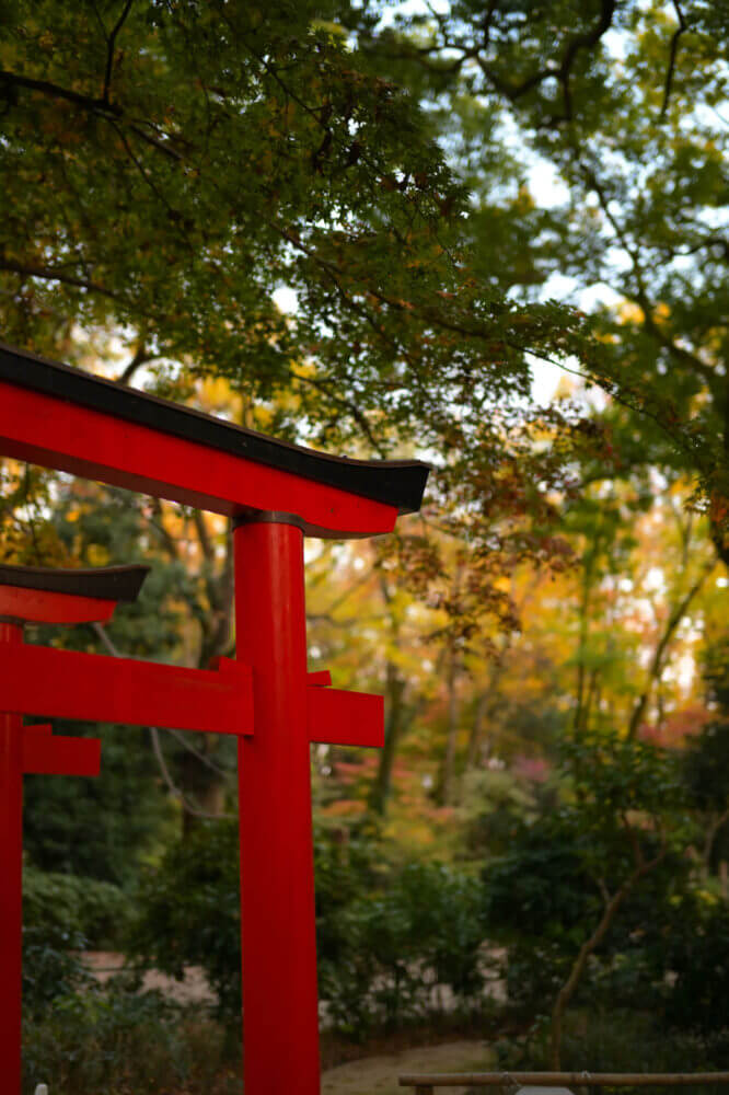 下鴨神社 糺の森河崎社の紅葉
