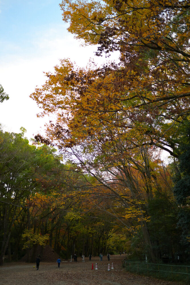 下鴨神社糺の森の紅葉