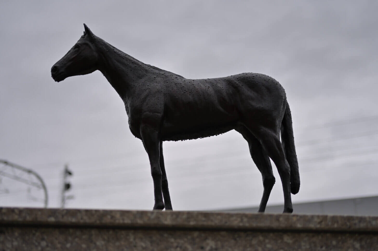 京都競馬場 三冠馬メモリアルロード デアリングタクト像