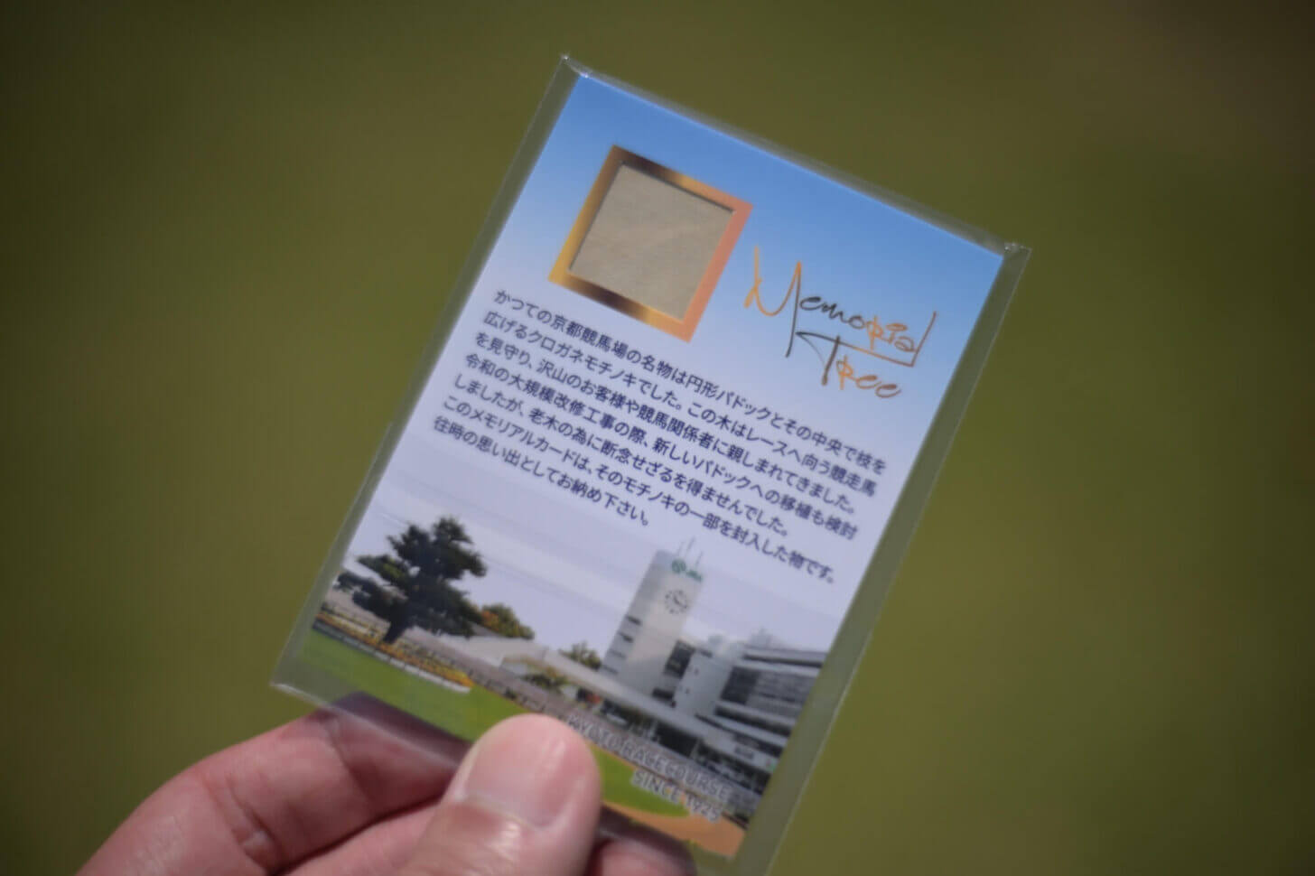 新装京都競馬場 モチノキメモリアルカード